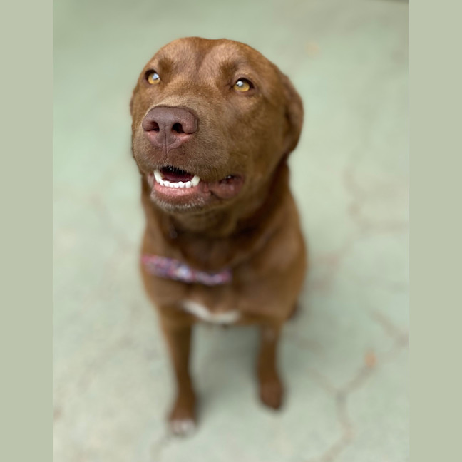 Photo of Ivy