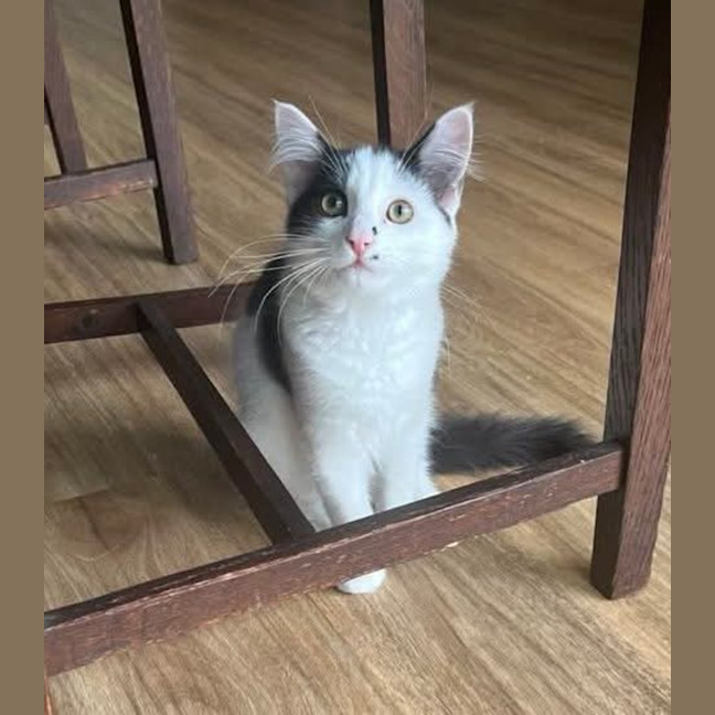 Photo of Acorn & Macadamia 