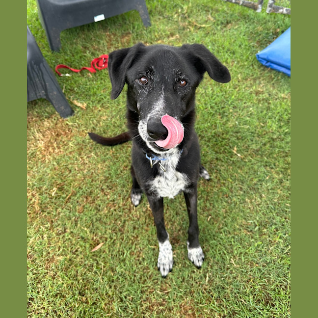 Photo of Turbo