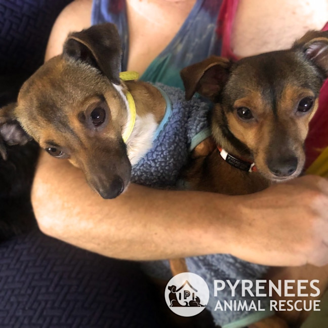 Photo of Bert And Ernie