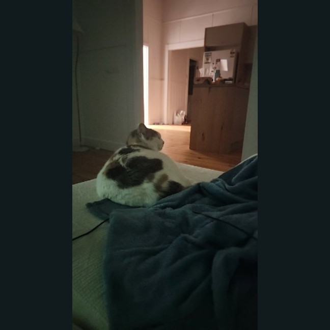 Photo of Millie