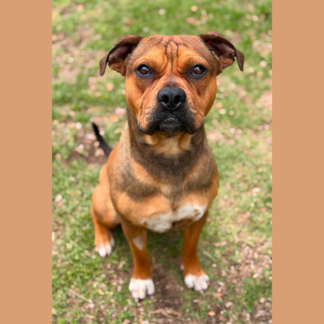 Photo of Bugsby 