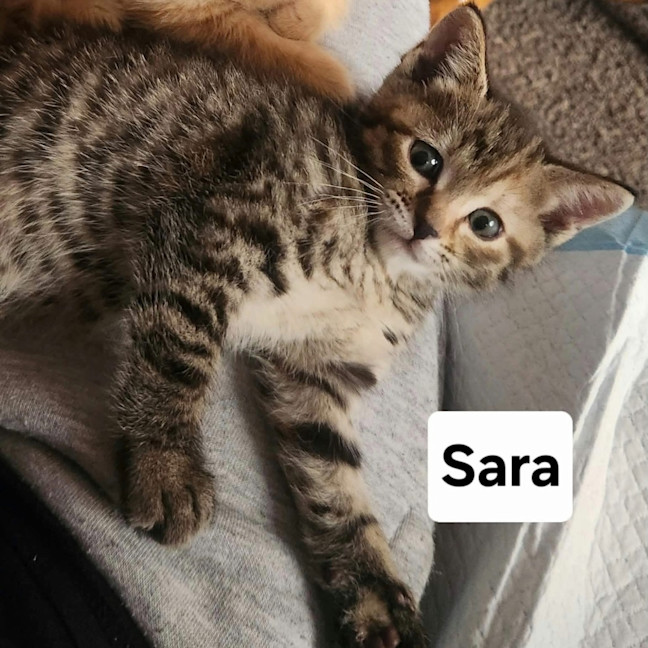 Photo of Sara