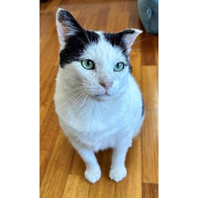 Photo of 4446   Aadi