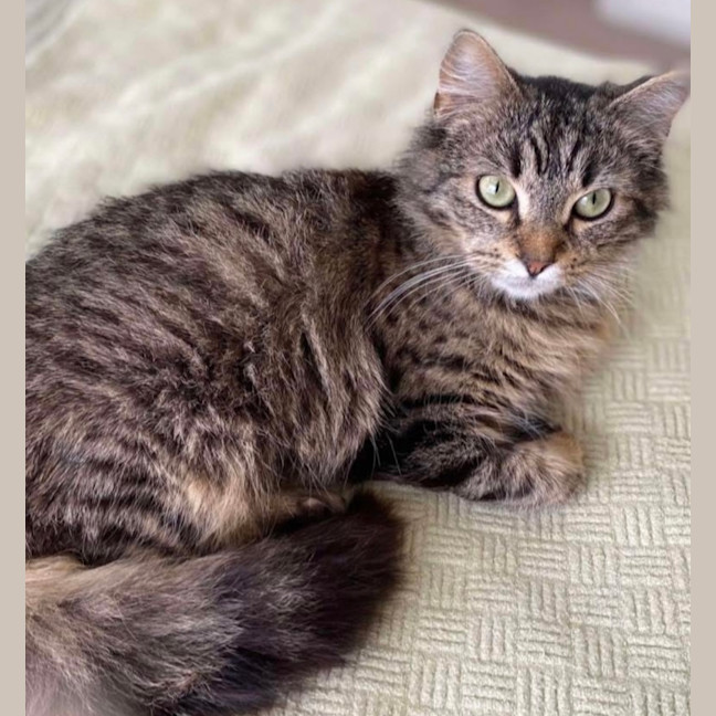 Photo of Blossom & Summer 