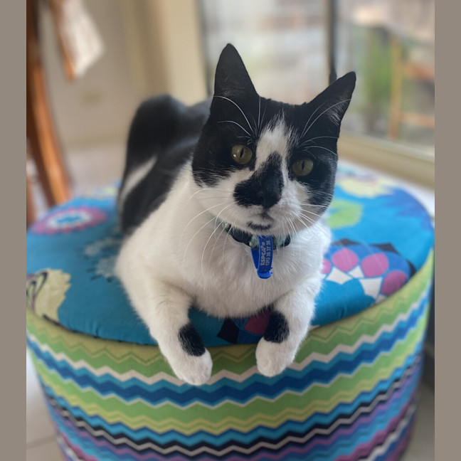 Photo of Smudge