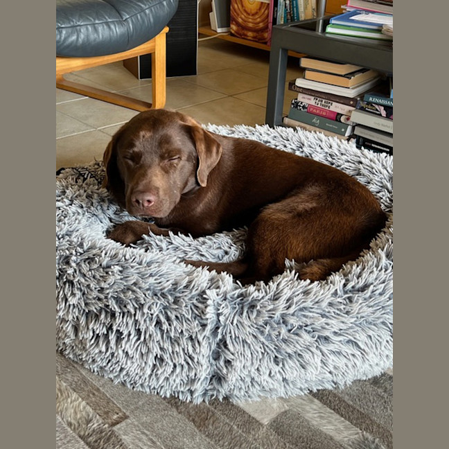 Photo of Max
