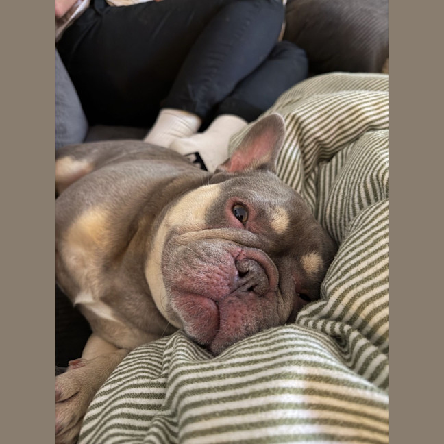 Photo of Peppa