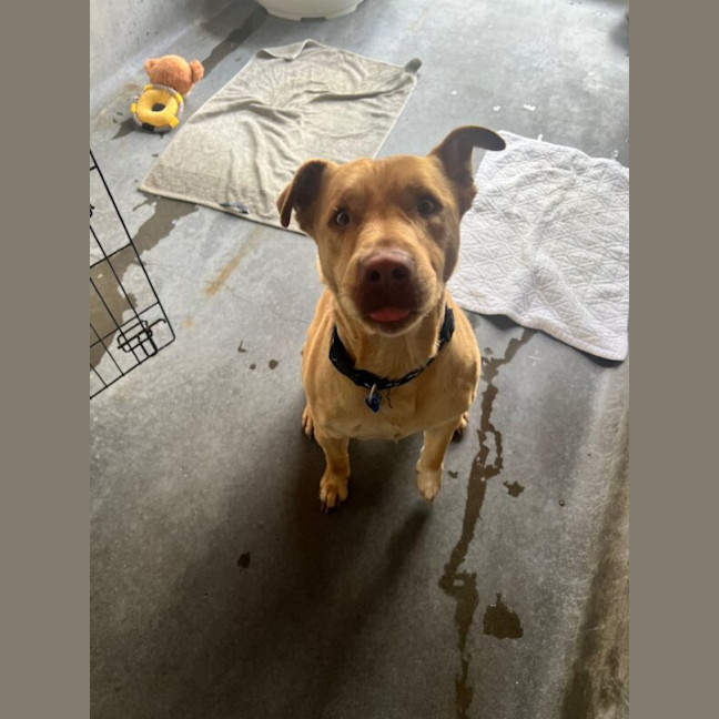 Photo of Chase