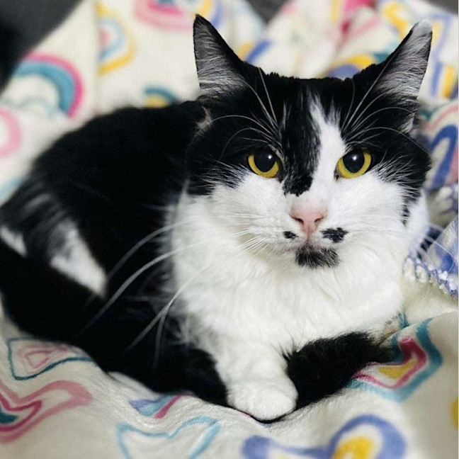 Photo of 10832   Daphne