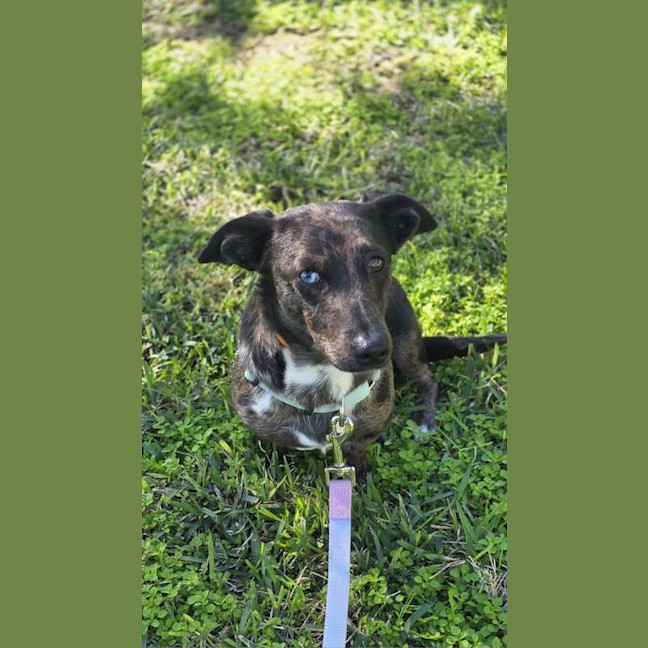 Photo of Lulu