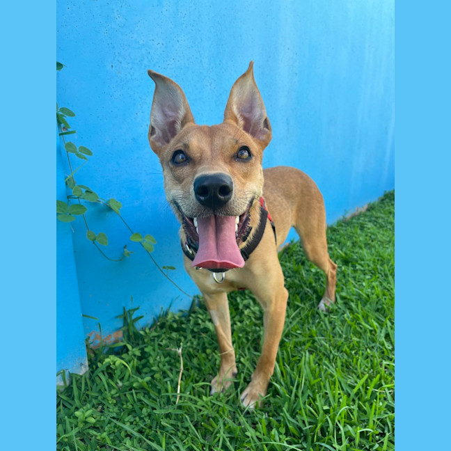 Photo of Abby