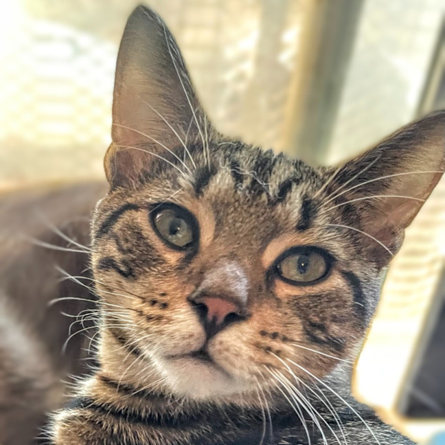 Photo of Roland