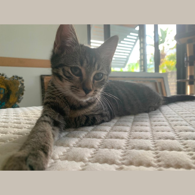 Photo of Luna