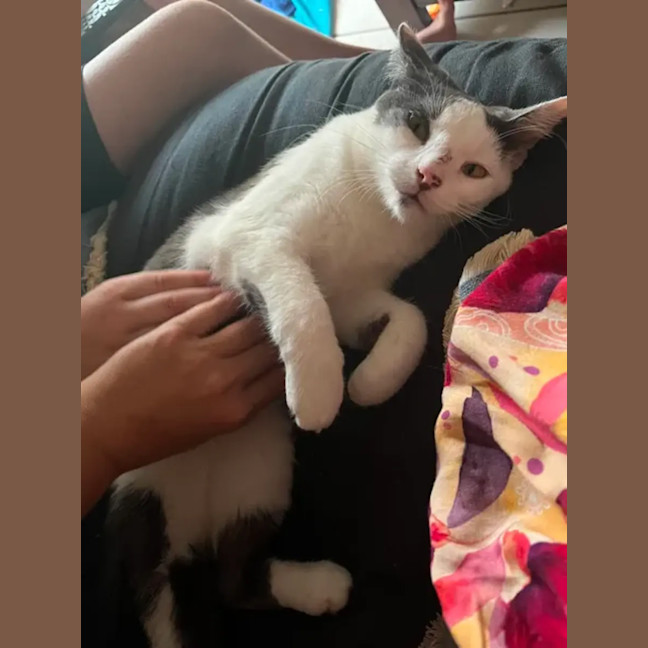 Photo of Pearl