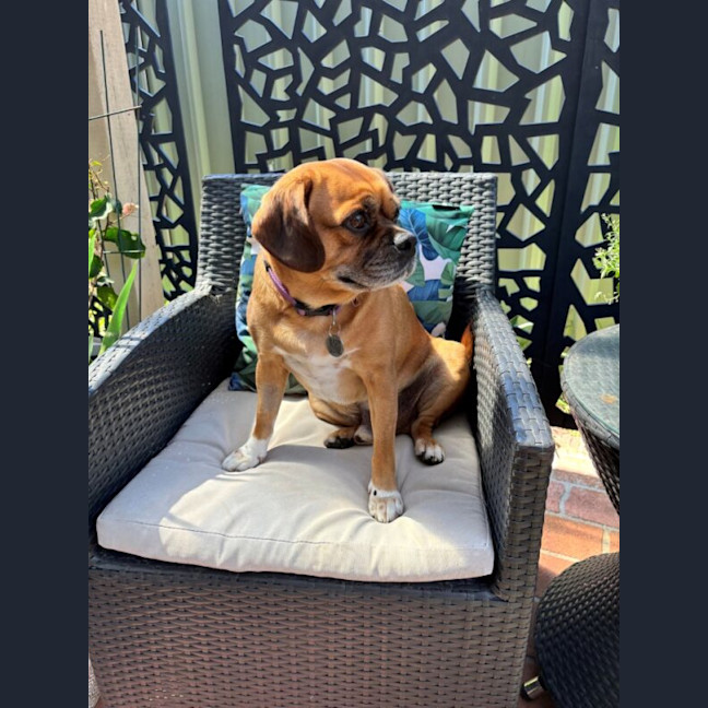 Photo of Bentley