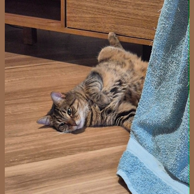 Photo of Rosie
