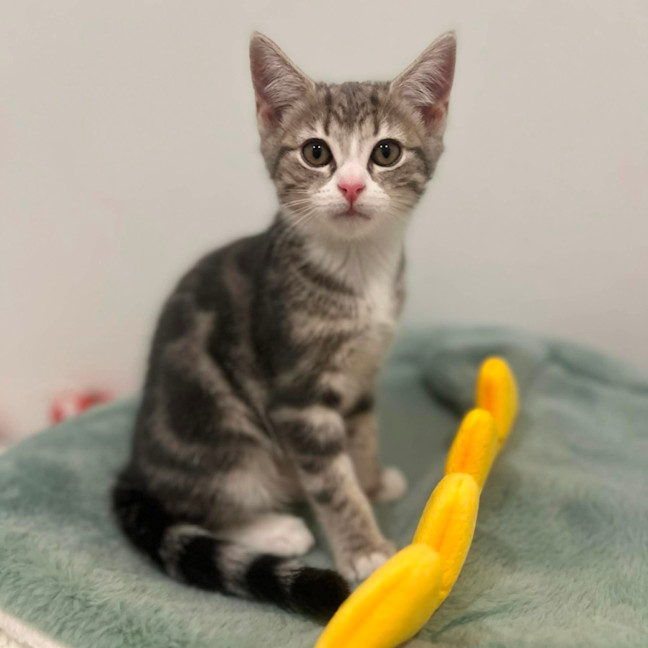 Photo of Charlotte   In Foster Care In Doreen