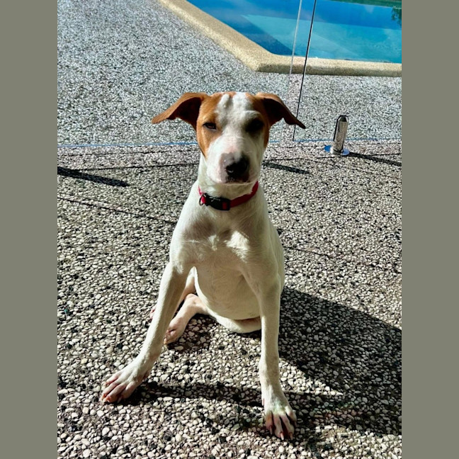 Photo of Millie