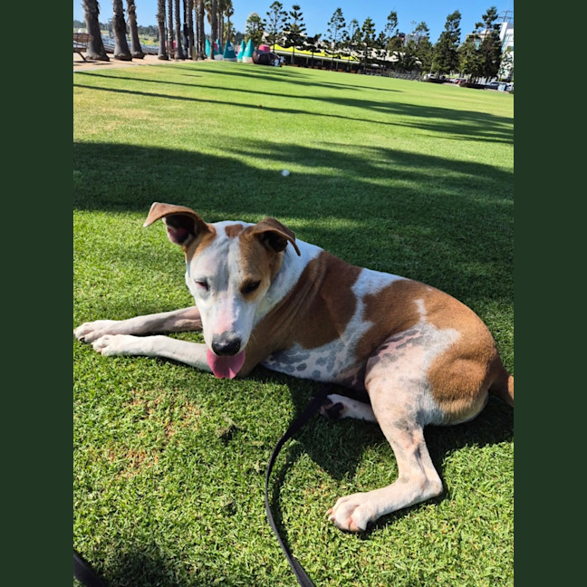 Photo of Doug (65435)