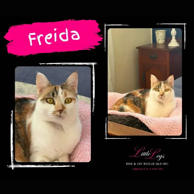 Photo of Freida 