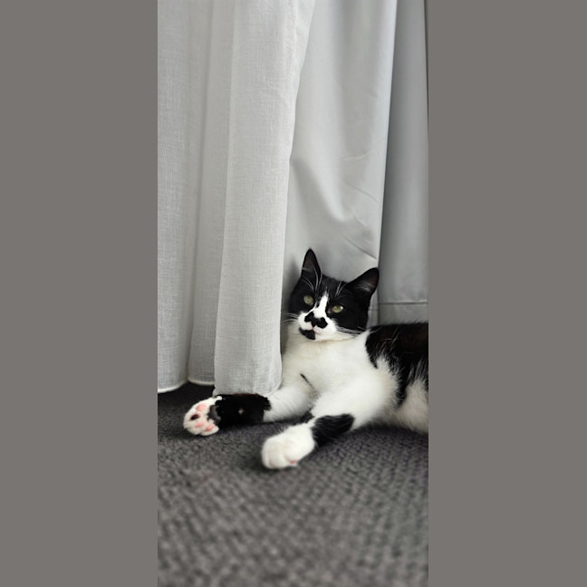 Photo of Sugar