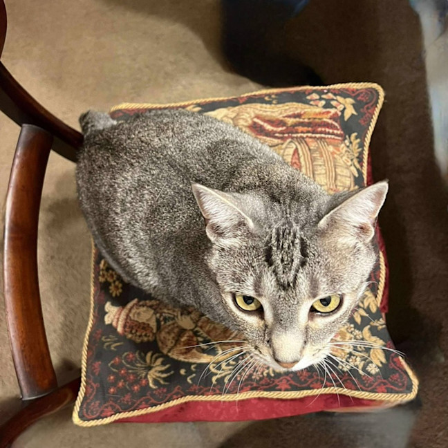 Photo of Fred And George