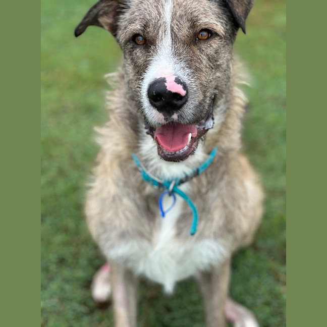 Photo of Turbo