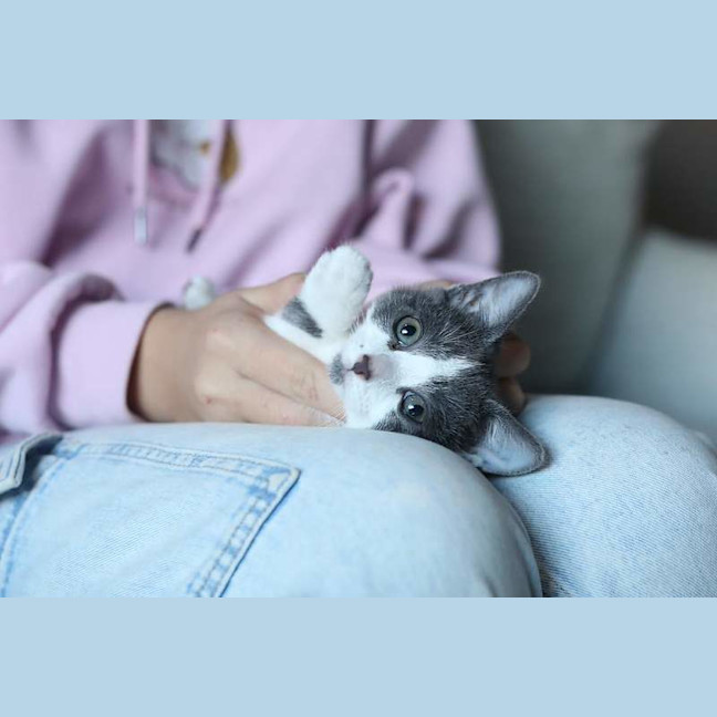 Photo of Smidge