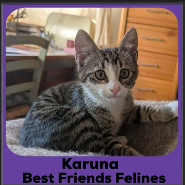 Photo of Karuna 