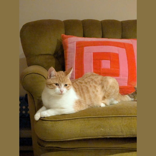 Photo of Charlie 