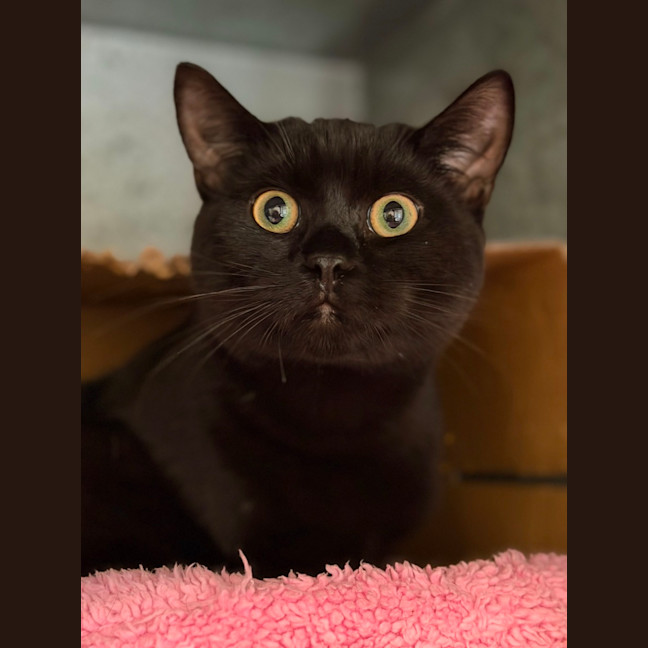 Photo of Lenny