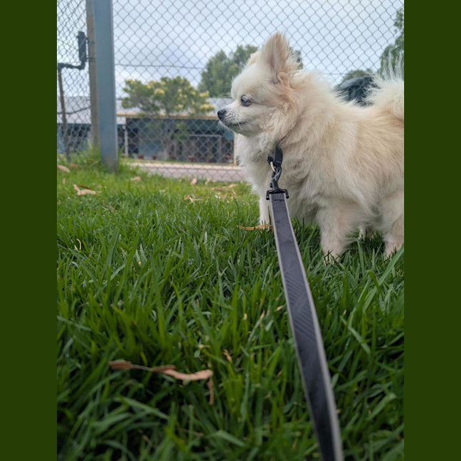 Photo of Princess