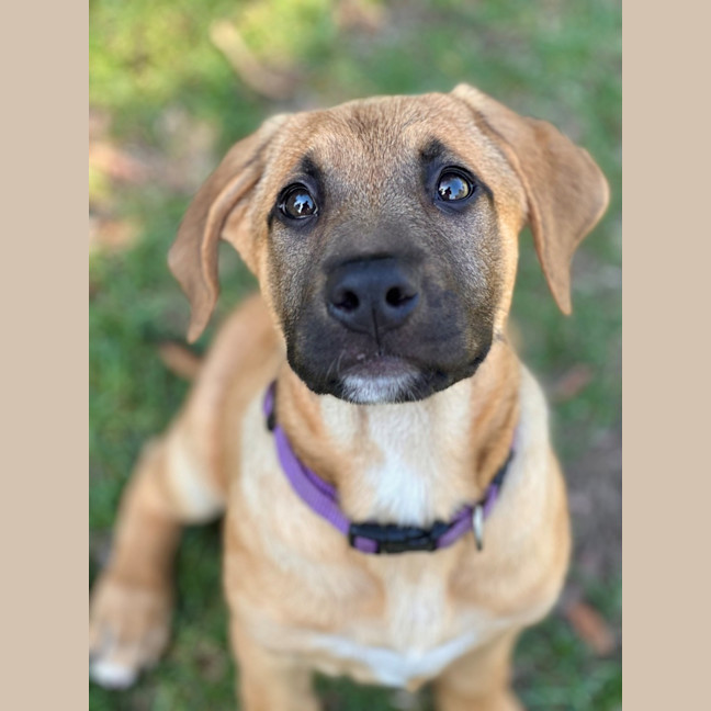 Photo of Elphie