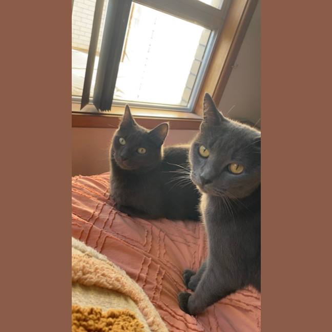 Photo of Smokey