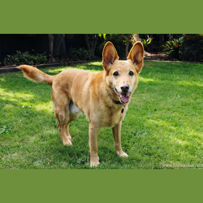 Photo of Teddy Belvedere