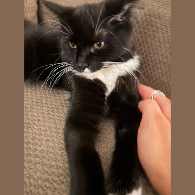 Photo of Peachy Keen