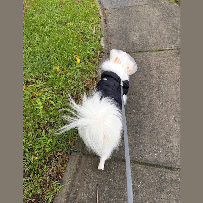 Photo of Yuki