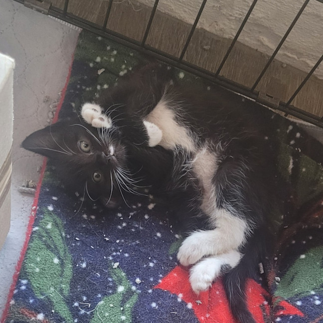 Photo of 💕 Rachel Green 💕