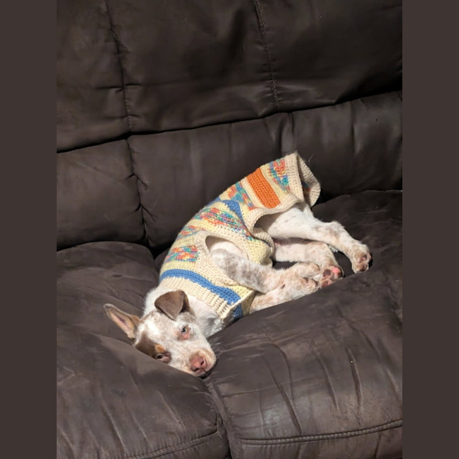 Photo of Billy