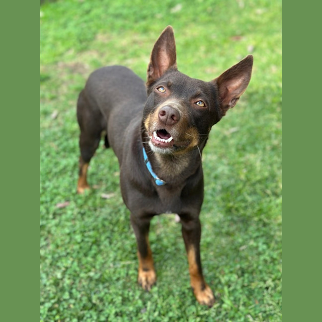 Photo of Billie Jean