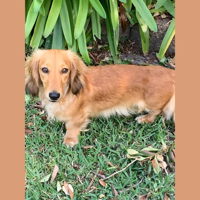 Photo of Sophie