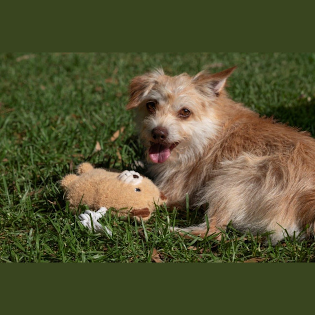 Photo of Buster Bulleau