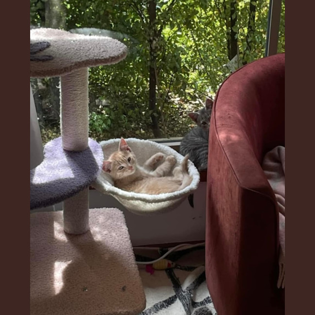 Photo of Pumpkin & Malcolm