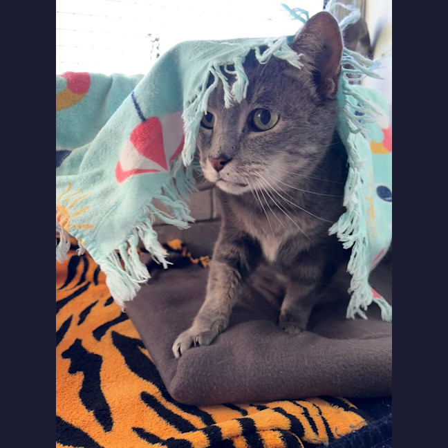 Photo of Ralph