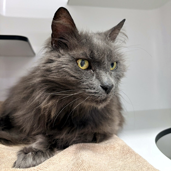 Photo of Missy Sua015056