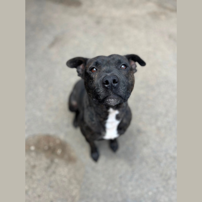 Photo of Miguel Los Santos