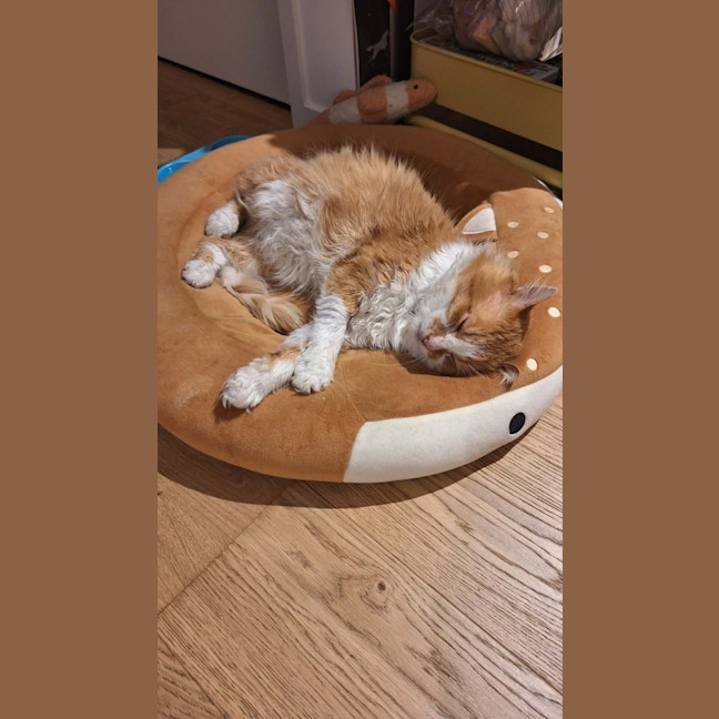 Photo of Rodger