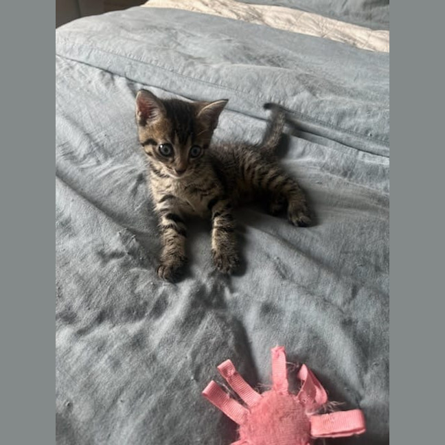 Photo of Tommy