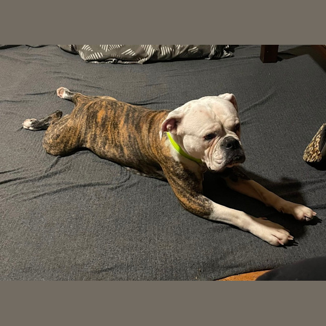 Photo of Bettina